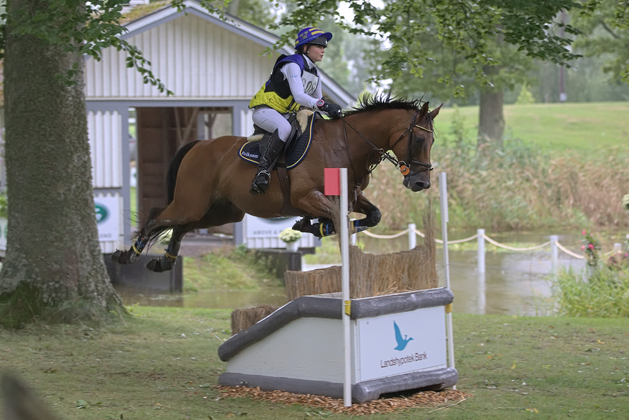 Wilma Nylén (SWE) and Stinger (SWB) at Segersjö 2021, Photo Jöns Leandersson.