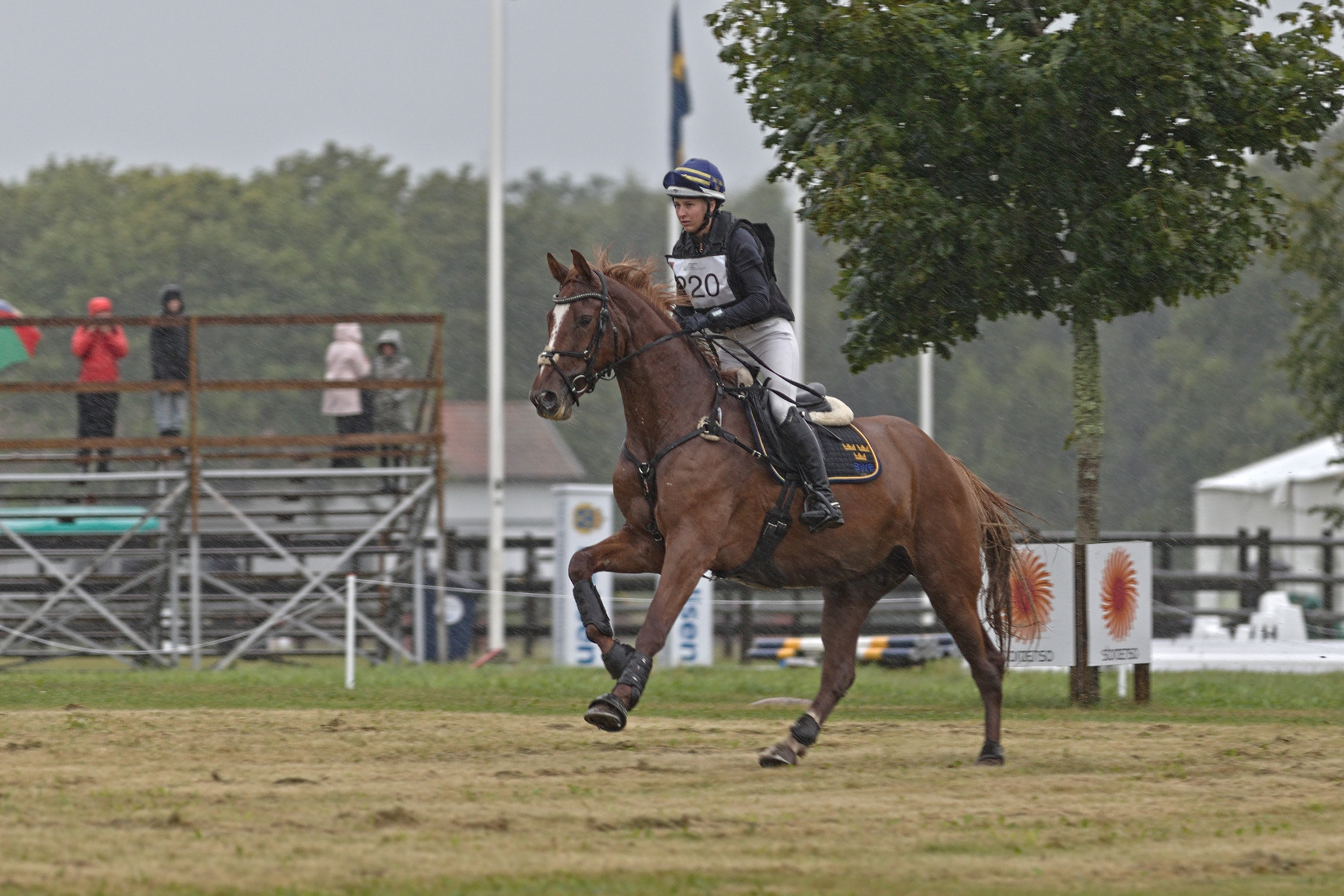 Lina Forsberg and Adele K (SWB) at Segersjö 2022. Photo Jöns Leandersson.