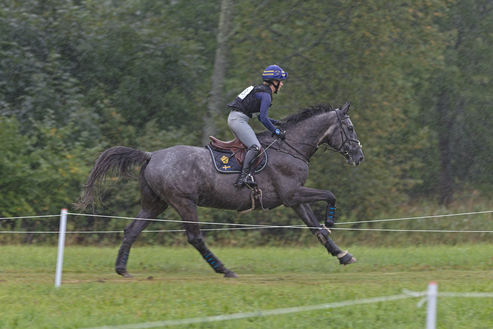 Frida Andersen and Millers Fortune (SWB) at Segersjö. Photo Jöns Leandersson.