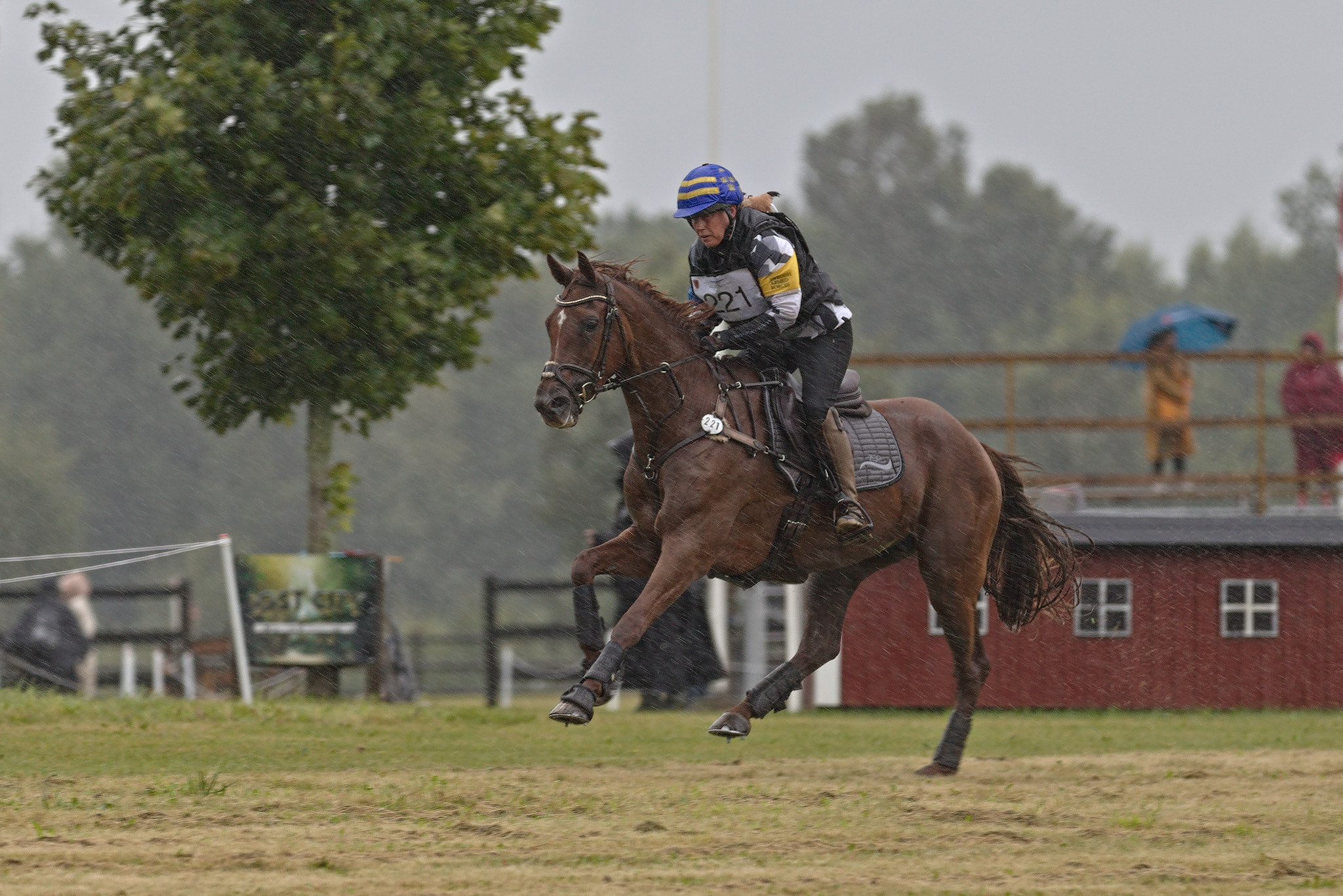 Philippa Magnusson and Zariola (SWB) at Segersjö 2022. Photo Jöns Leandersson.