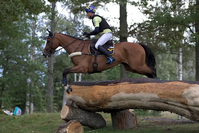 Niklas Lindbäck and Focus Filiocus (SWB) at Segersjö in august 2018. Photo Jöns Leandersson.